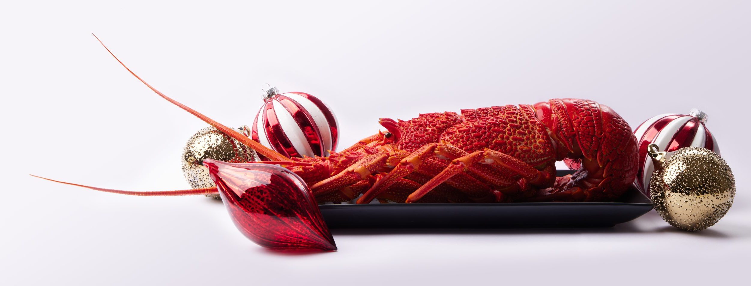 Christmas Orders - Order Now